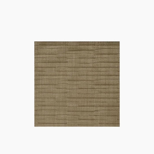 APS Placemat