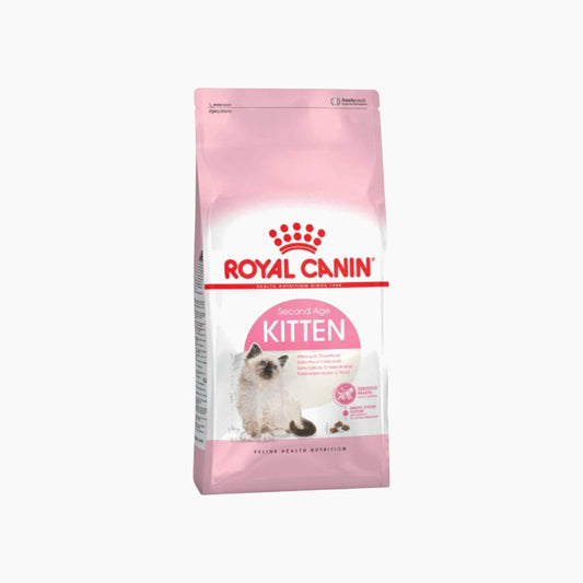 Fhn Kitten 36