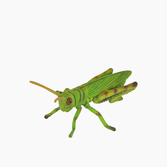Collecta Grasshopper Animal Toy Figure