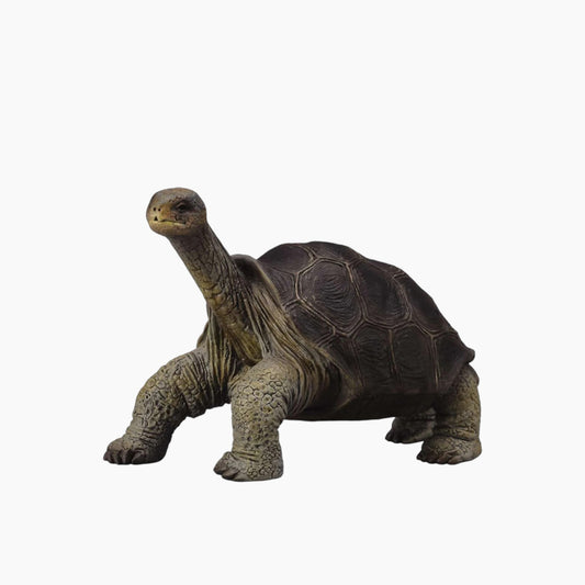 Collecta Pinta Island Tortoise (In Memory Of Lonesome George) Animal Toy Figure