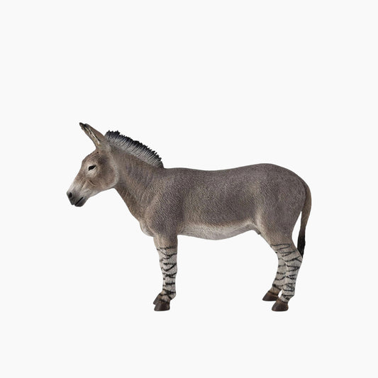 Collecta African Wild Ass Animal Toy Figure