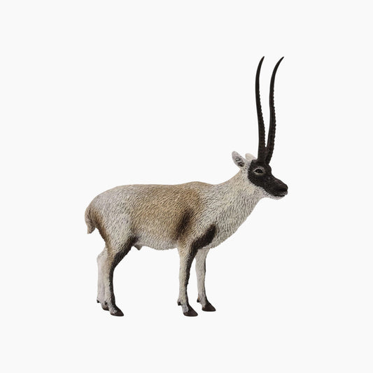 Collecta Chiru Animal Toy Figure