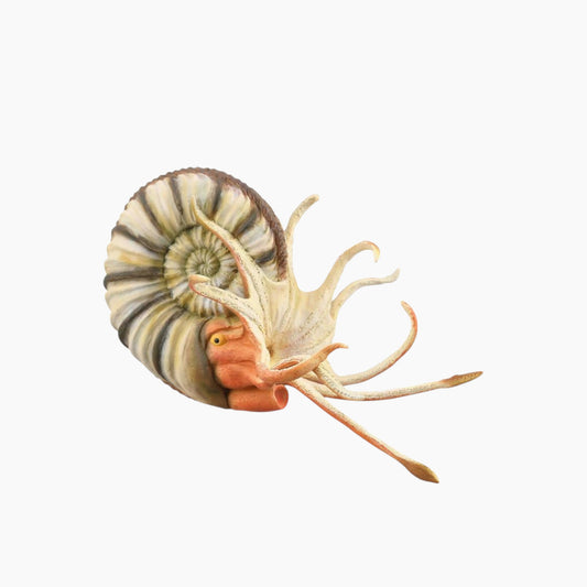 Collecta Pleuroceras Ammonite Animal Toy Figure