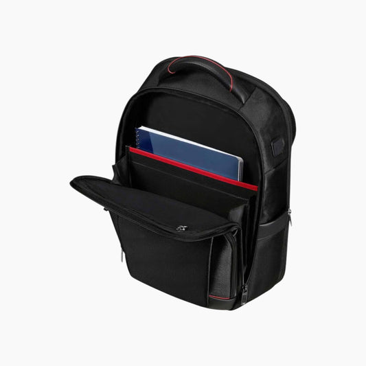 Samsonite Pro-Dlx 6 Laptop Backpack