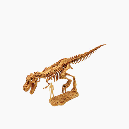 Buki Dino Kit Assortment