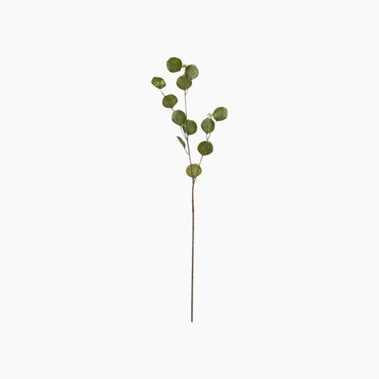 Deco Crush Branch Honesty