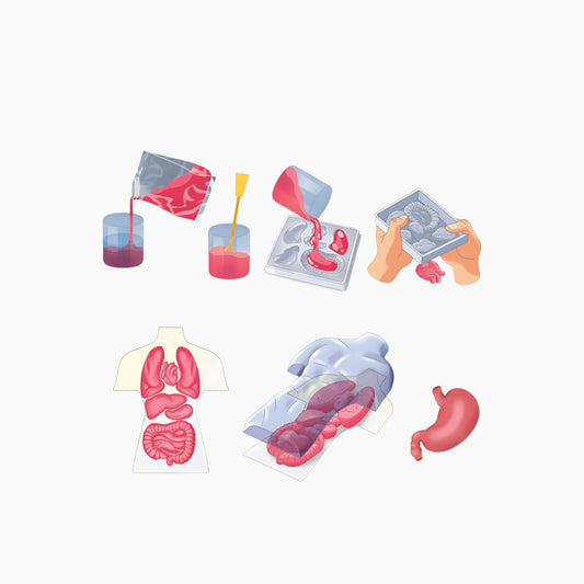 Clementoni Anatomia Squishy