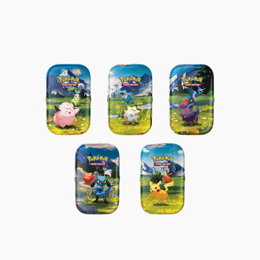 Pokemon Mega Evolution Ascended 2.5 Heroes Mini Tin Assorted