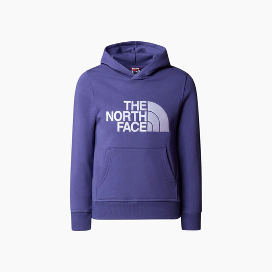 The North Face Boy's Drew Peak P/O Hoodie