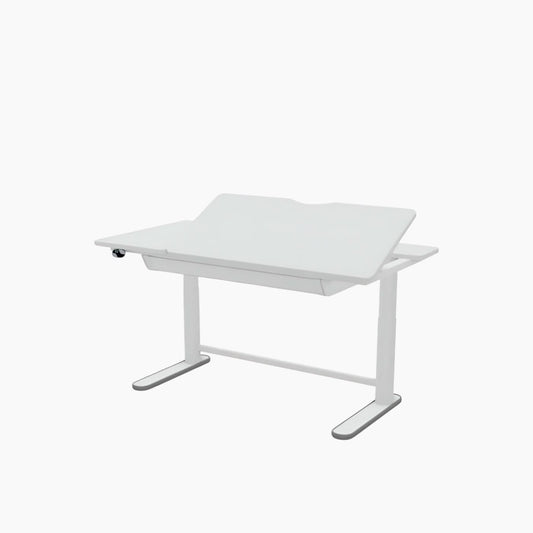 Lifetime Kidsrooms Electrical Adjustable Desk