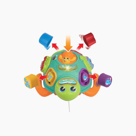 Winfun Sort 'N Learn Turtle Educational Toy