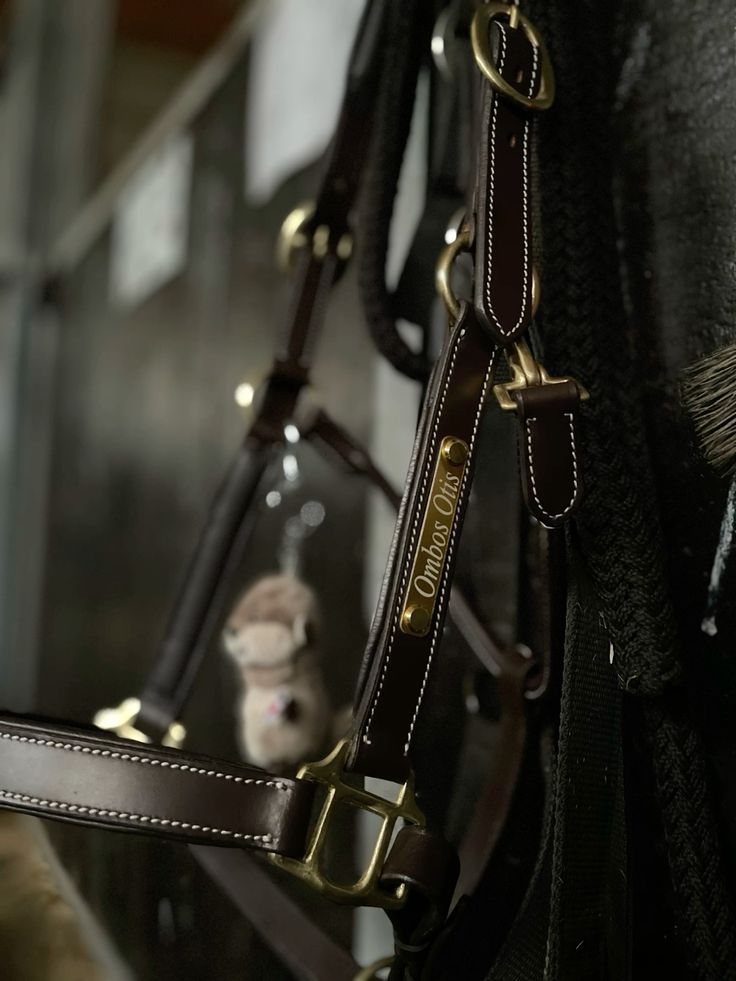 Horseback Riding Accessories