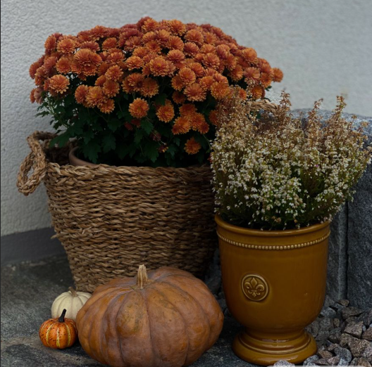 Fall Home Essentials