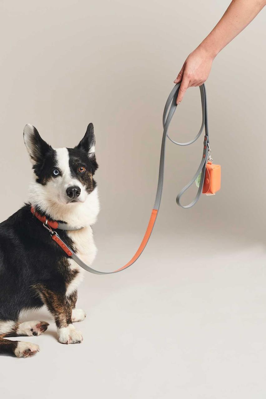 Pets Accessories