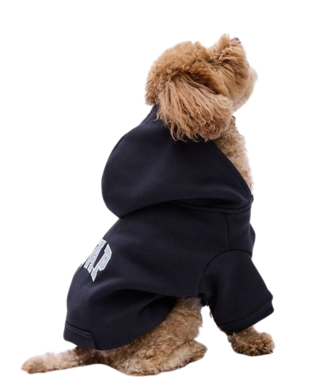 Pets Clothing