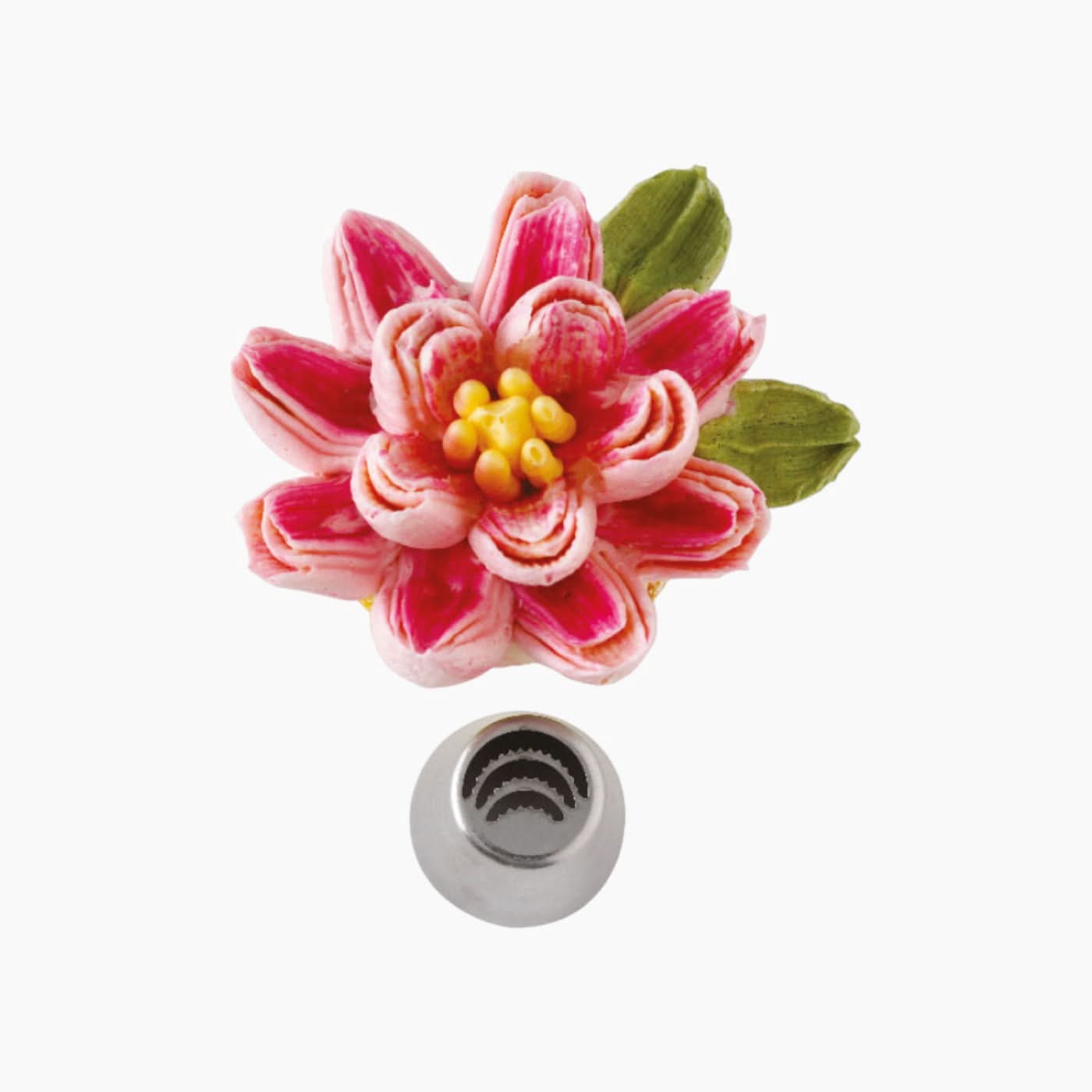 Decora Flower Decorating Nozzles Decora Flower Decorating Nozzles