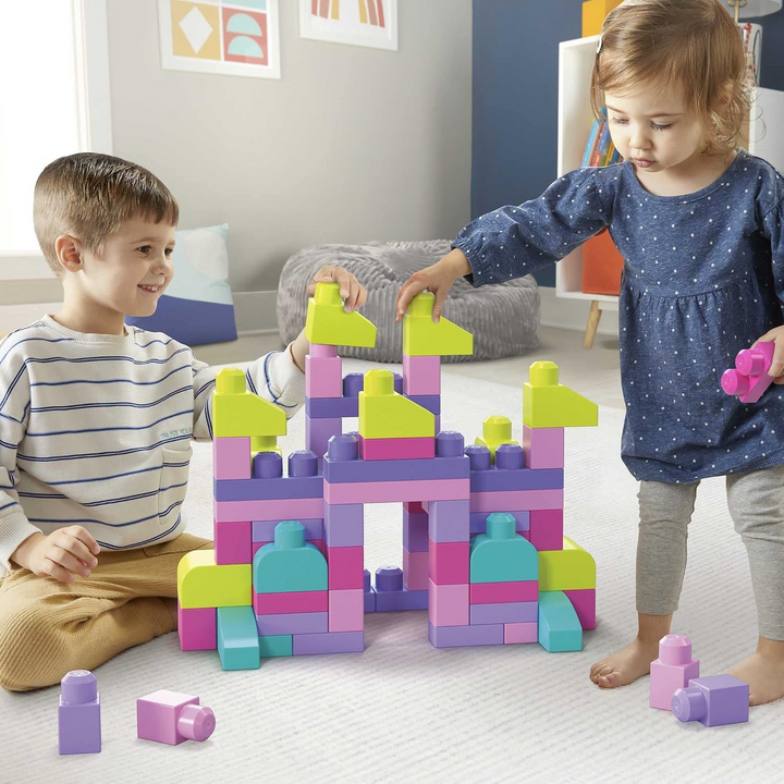 Mattel Mega Bloks First Builders Big Building Bag - 80 Pieces Pink