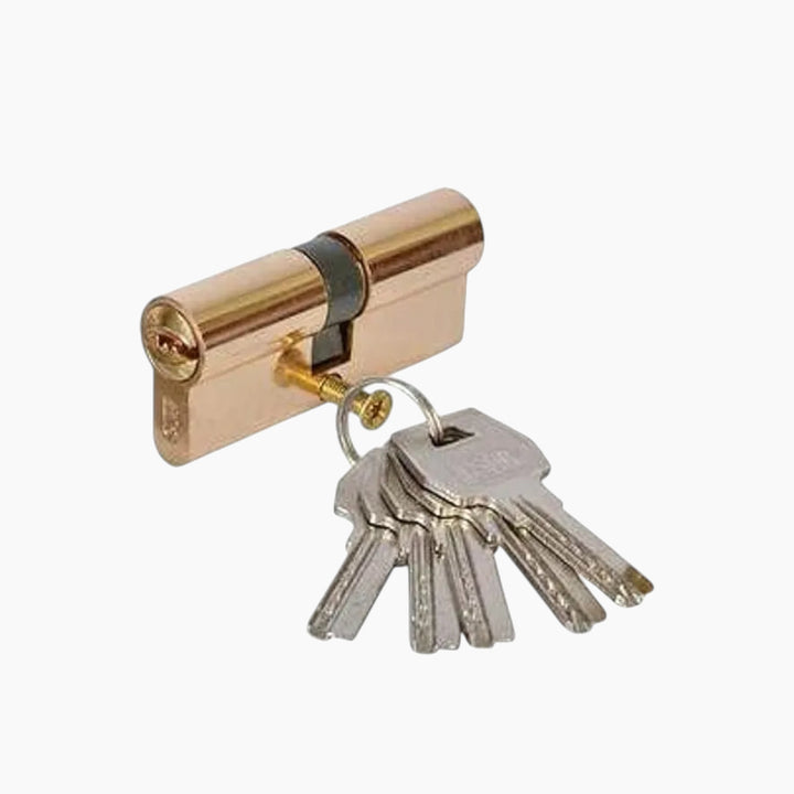 Cisa Computer Key Cylinder - 70mm, Gold