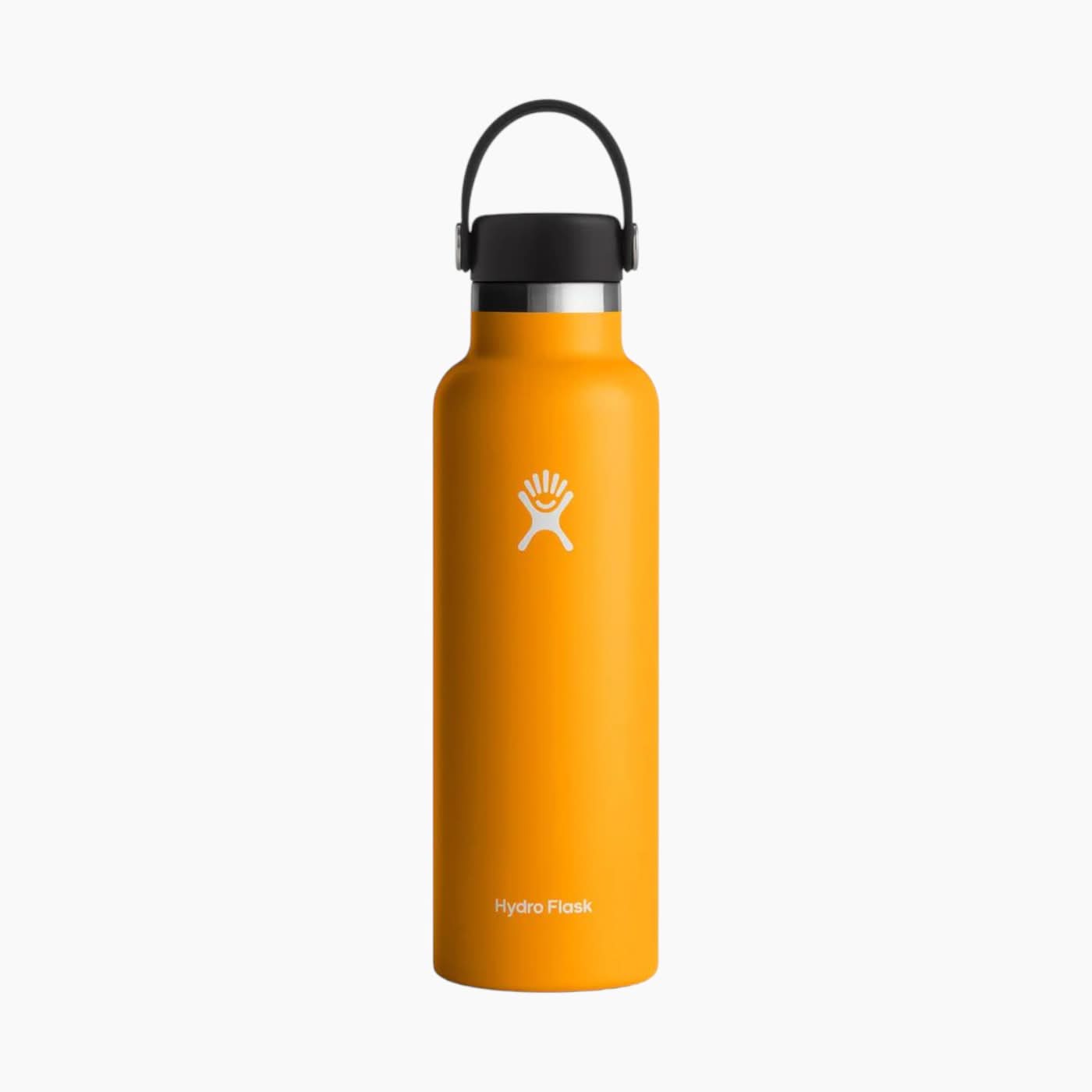 Hydro Flask Standard Flex Cap Water Bottle Hydro Flask Standard Flex Cap Water Bottle