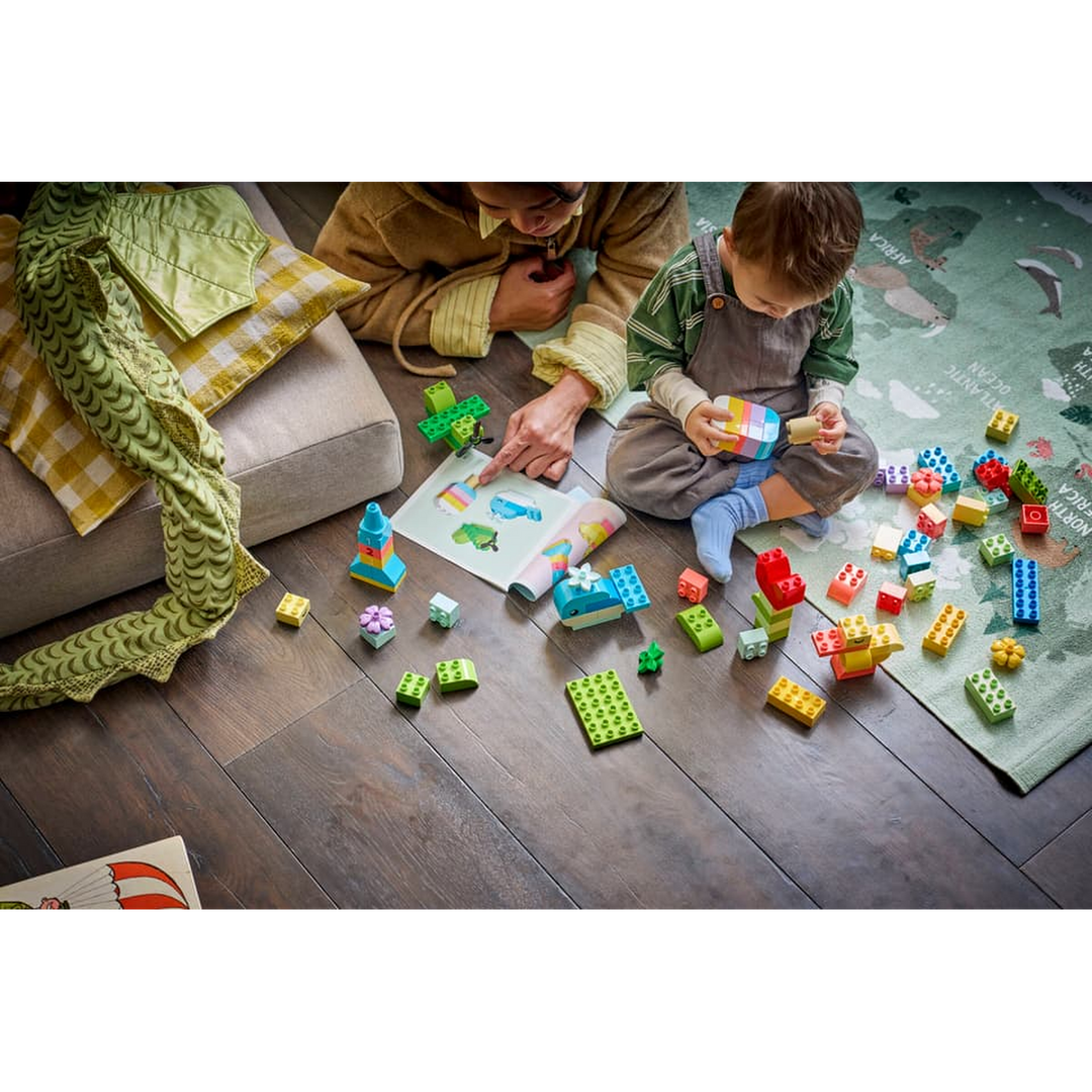 LEGO Colorful Creative Box