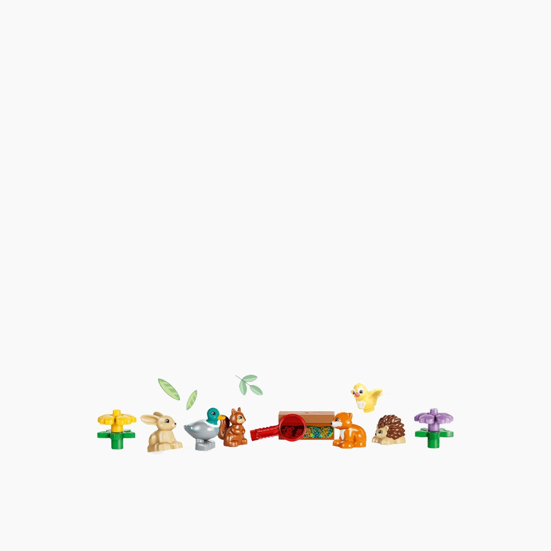 LEGO Discovery Forest with Wild Animals