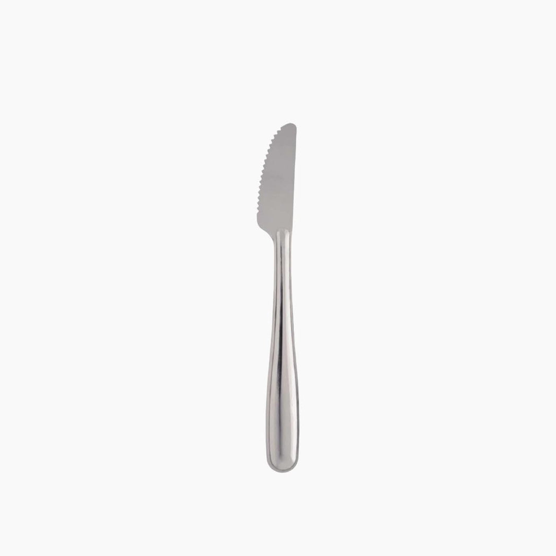Pintinox Reuse Table Knife Set