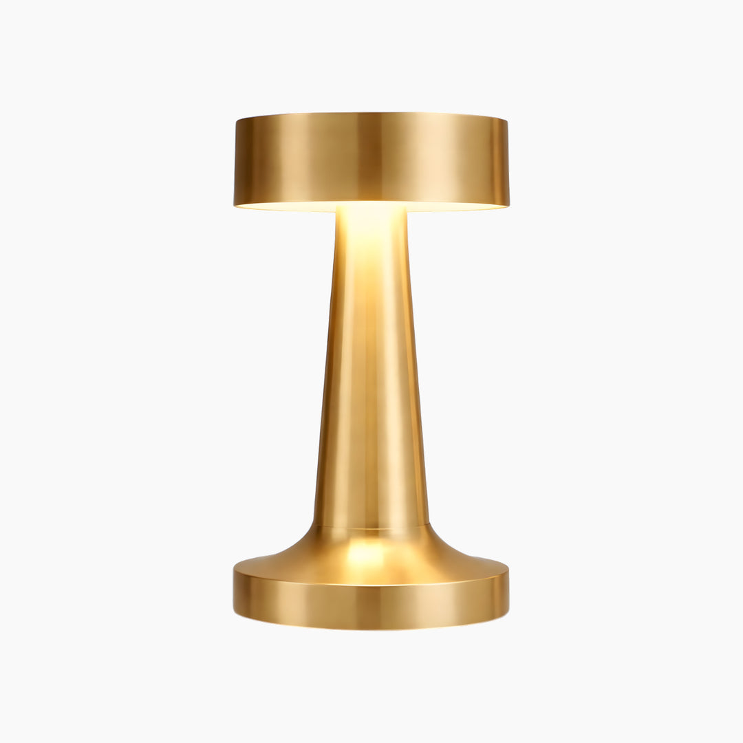 Necessary Light Modern Metal LED Table Lamp – Minimalist Design