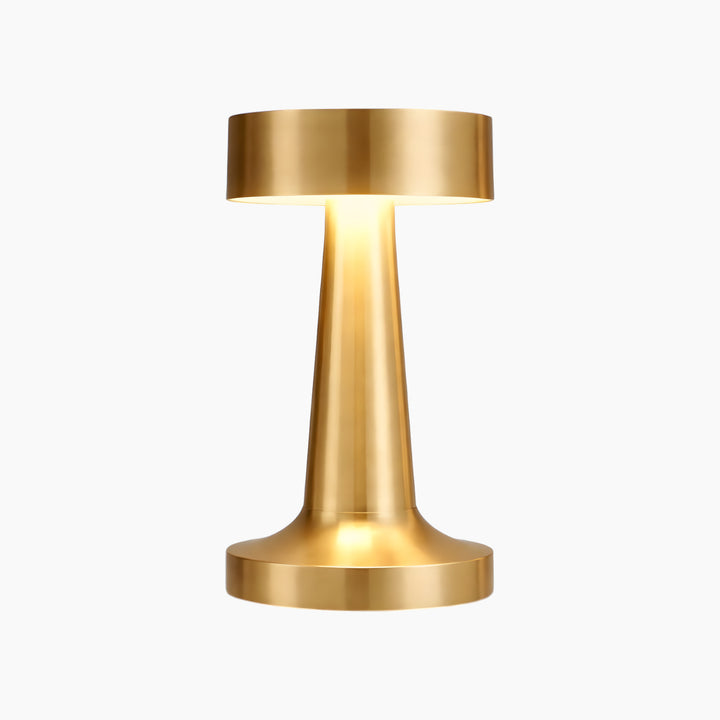 Necessary Light Modern Metal LED Table Lamp – Minimalist Design
