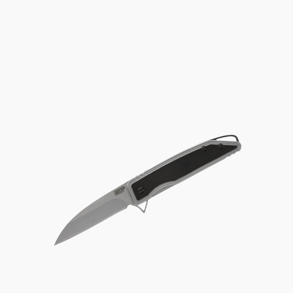 Sear Spring Assisted Folding Knife