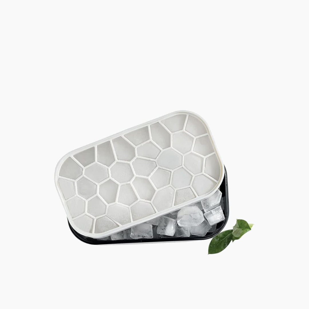 Lekue Ice Box Container