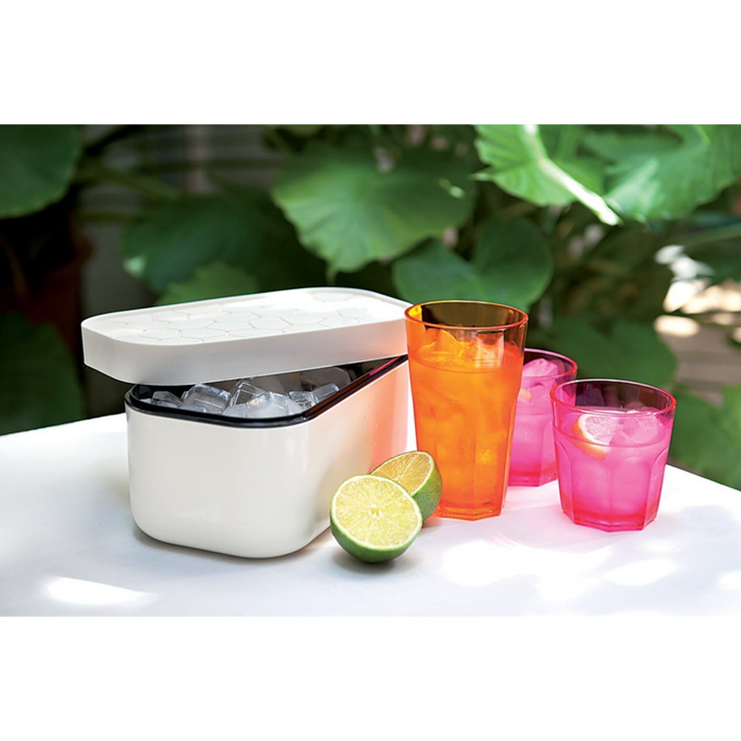 Lekue Ice Box Container