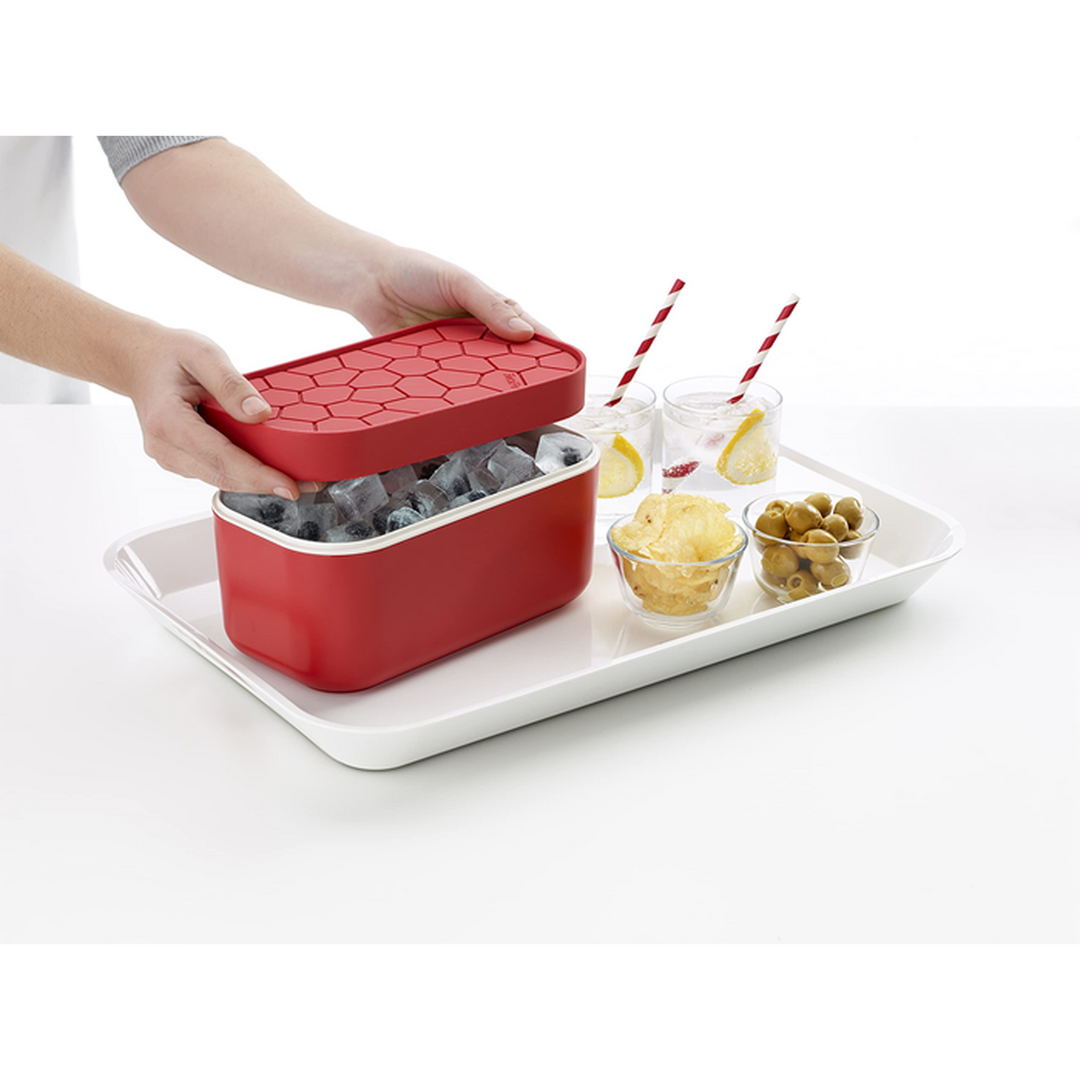 Lekue Ice Box Container