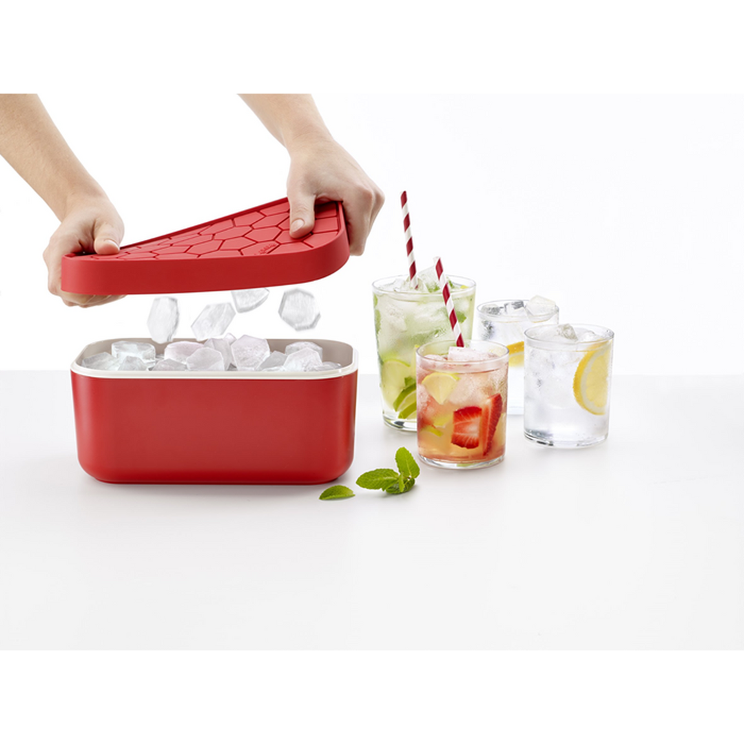 Lekue Ice Box Container