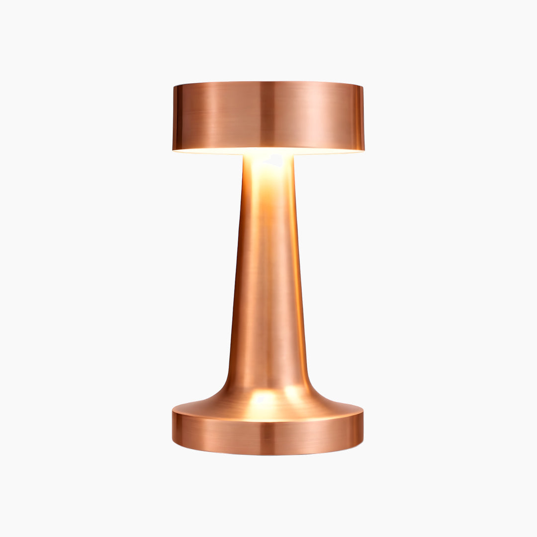 Necessary Light Modern Metal LED Table Lamp – Minimalist Design