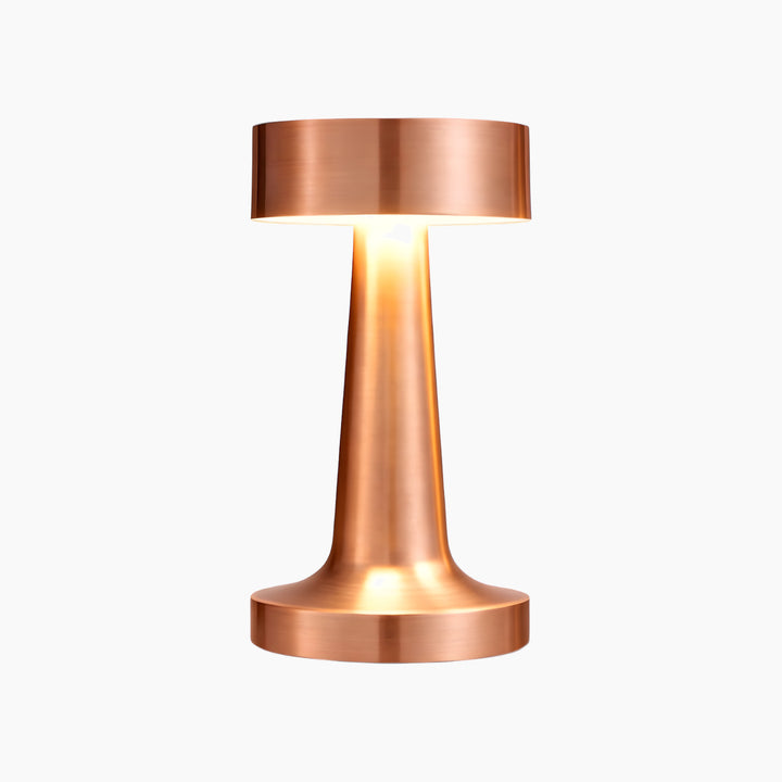 Necessary Light Modern Metal LED Table Lamp – Minimalist Design