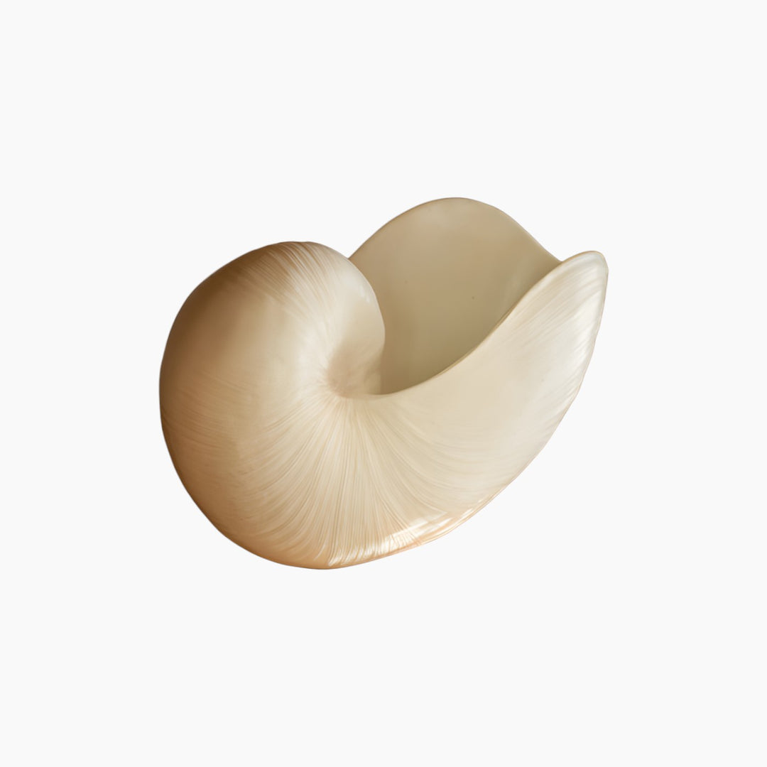 Shell Vase - HUNA