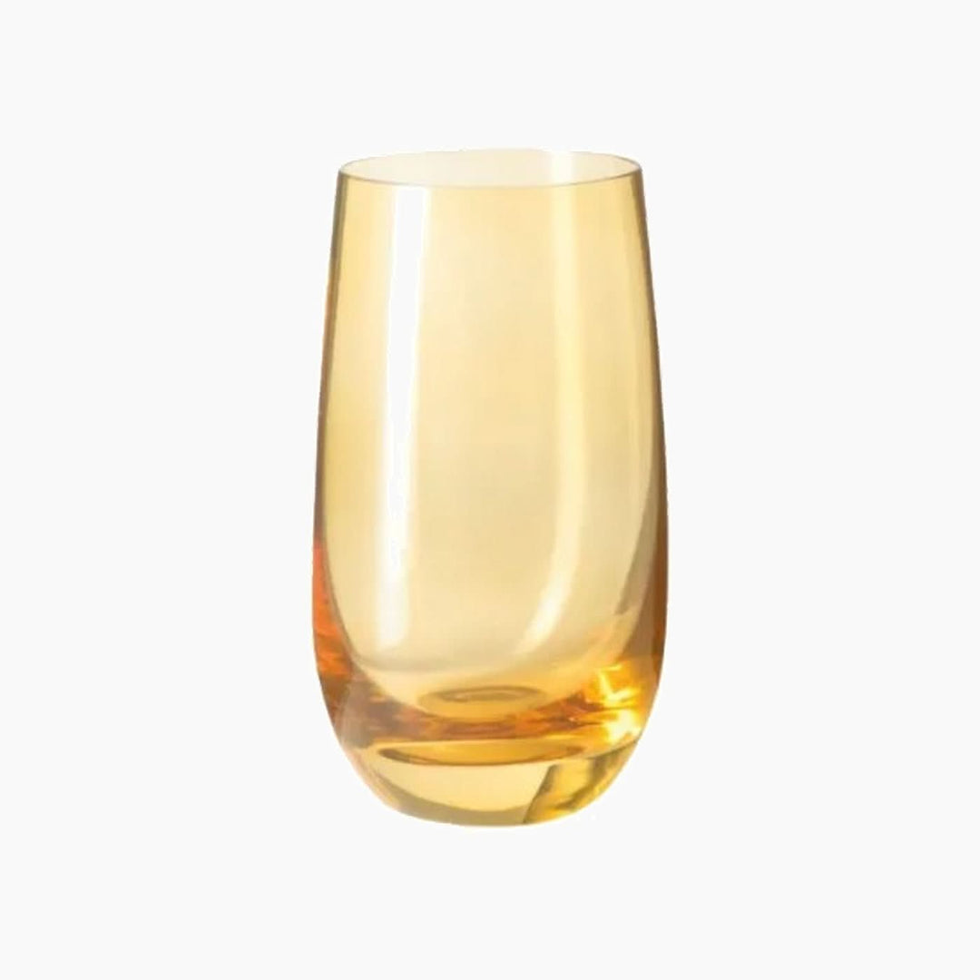 Leonardo Sora amber glass tumbler set