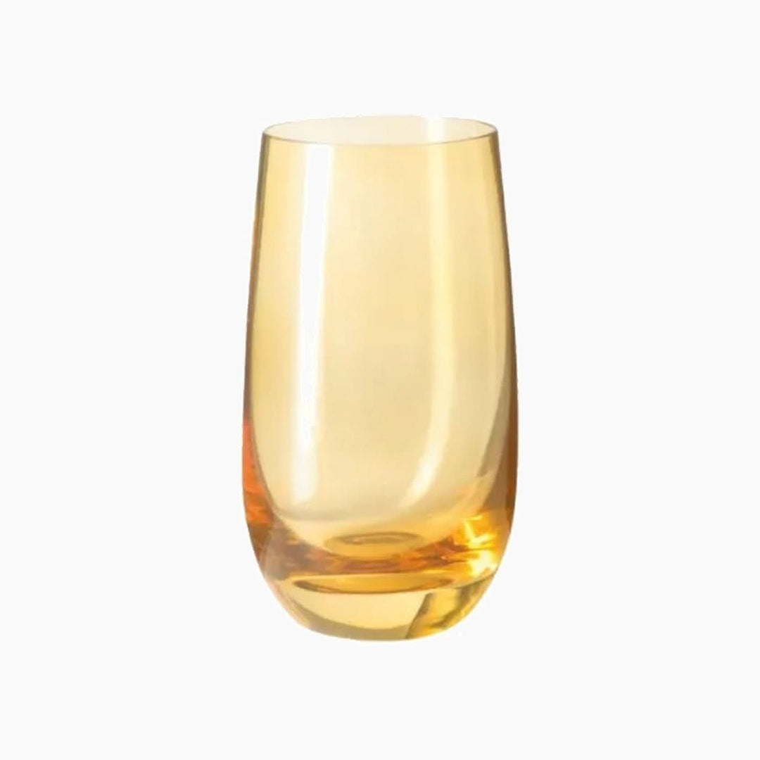 Leonardo Sora amber glass tumbler set