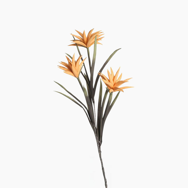 Fiorec Cotton Flower Hight Orange