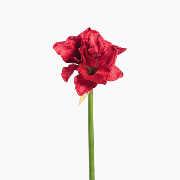 Fiore Amaryllis H 65 Cm Red