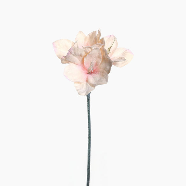 Fiore Amaryllis Flower H 70 Cm Apricot