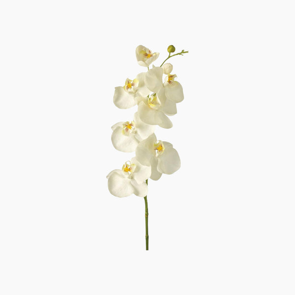 Fiore Orchidea Dia 85 x 15 x 10 cm White