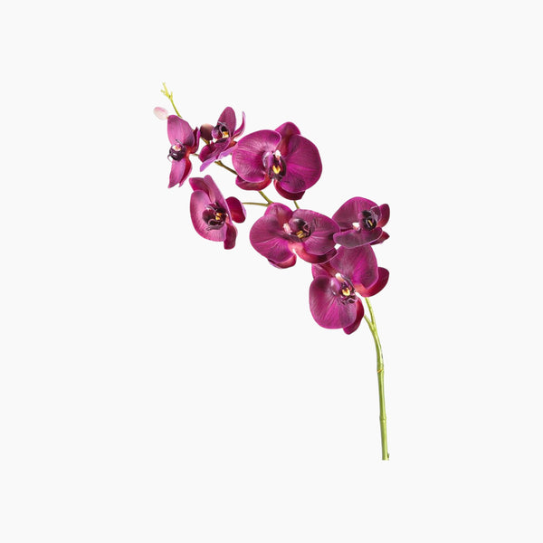 Fiore Orchidea Dia 85 x 15 x 10 cm Purple