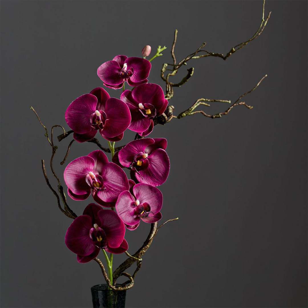 Leonardo Fiore Orchidea Decorative Piece
