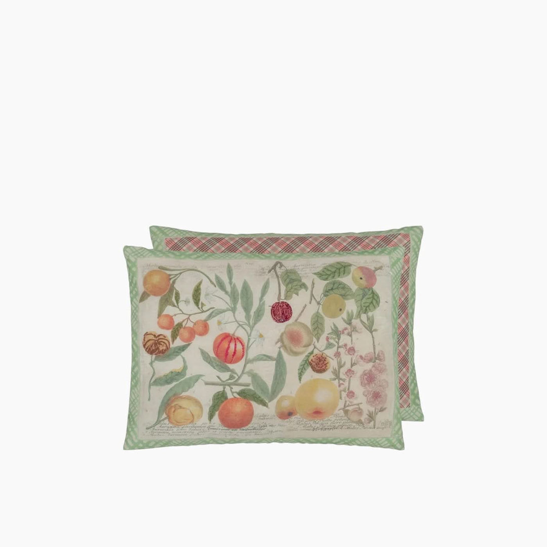 Designers Guild Oranges Canvas John Derian Cushion - HUNA