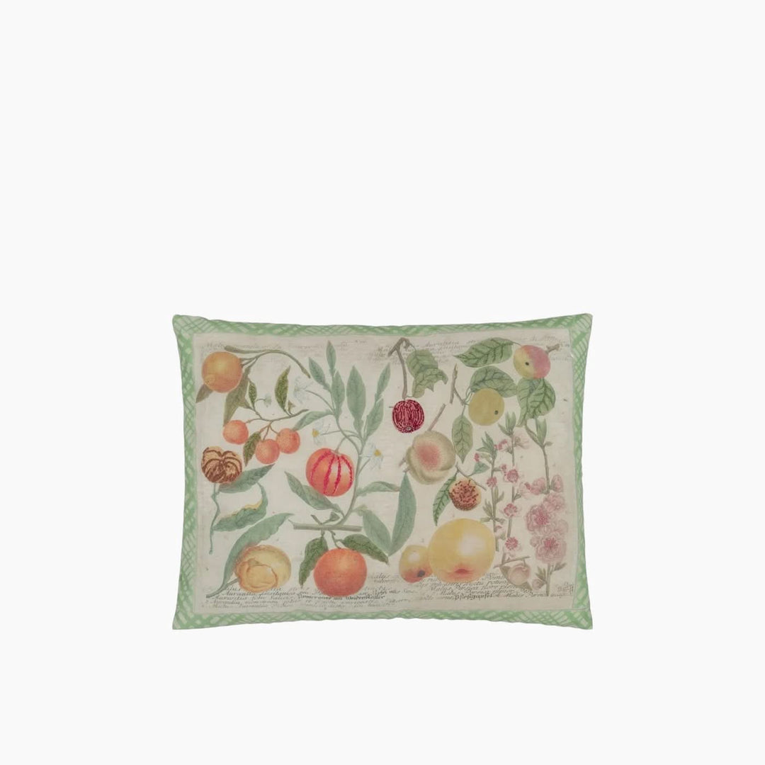 Designers Guild Oranges Canvas John Derian Cushion - HUNA