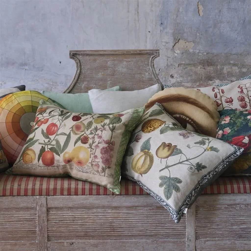 Designers Guild Oranges Canvas John Derian Cushion - HUNA