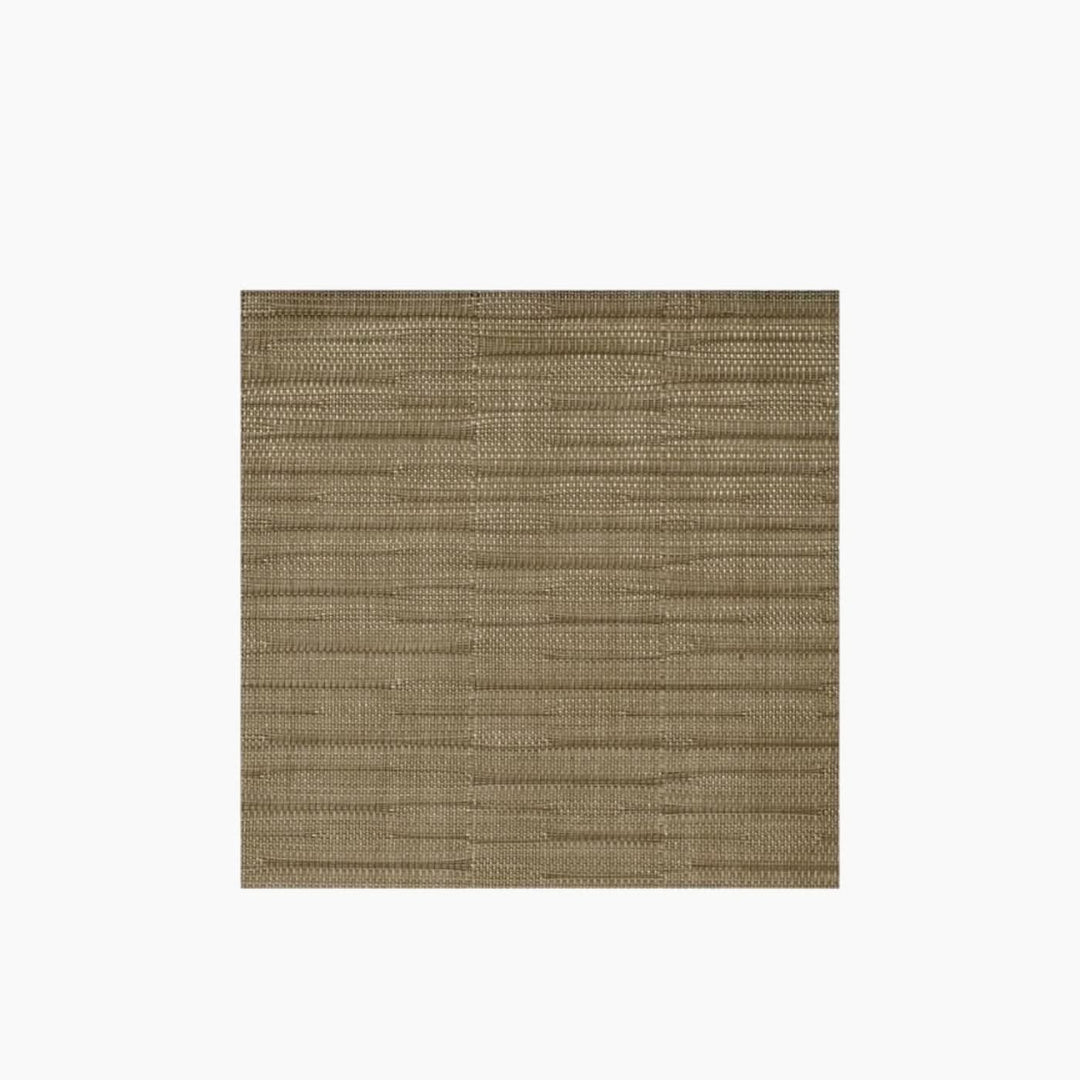 APS Placemat
