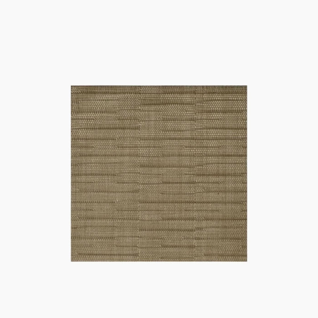 APS Placemat