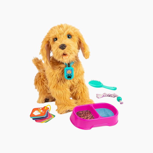 Moji The Lovale Laradoodle